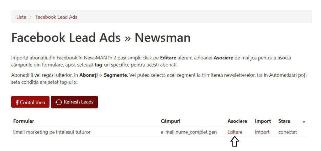 asociere campuri formular facebook leads newsman